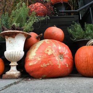 Meet your Posher, Matthew